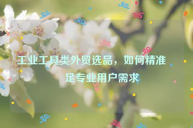 工業(yè)工具類外貿(mào)選品，如何精準(zhǔn)滿足專業(yè)用戶需求