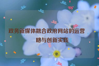 政務(wù)新媒體融合政府網(wǎng)站的運營策略與創(chuàng)新實踐