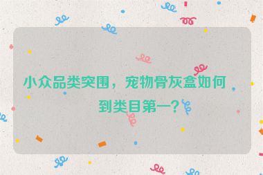 小眾品類突圍，寵物骨灰盒如何做到類目第一？