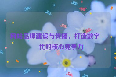 網(wǎng)站品牌建設(shè)與傳播，打造數(shù)字時(shí)代的核心競爭力
