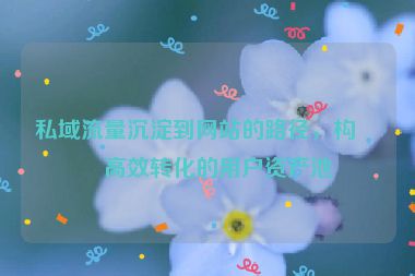 私域流量沉淀到網(wǎng)站的路徑，構(gòu)建高效轉(zhuǎn)化的用戶資產(chǎn)池