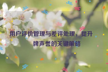用戶評(píng)價(jià)管理與差評(píng)處理，提升品牌聲譽(yù)的關(guān)鍵策略