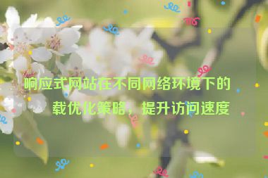 響應(yīng)式網(wǎng)站在不同網(wǎng)絡(luò)環(huán)境下的加載優(yōu)化策略，提升訪問速度
