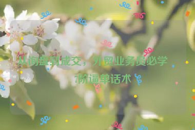 從詢盤到成交，外貿(mào)業(yè)務(wù)員必學(xué)的7階逼單話術(shù)
