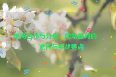 電商合作與分成，網(wǎng)站盈利的新途徑與實(shí)戰(zhàn)要點(diǎn)
