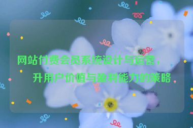 網(wǎng)站付費(fèi)會員系統(tǒng)設(shè)計(jì)與運(yùn)營，提升用戶價(jià)值與盈利能力的策略