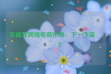 東南亞跨境電商市場，下一個藍(lán)海？