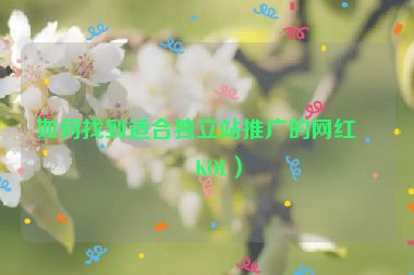 如何找到適合獨立站推廣的網(wǎng)紅（KOL）