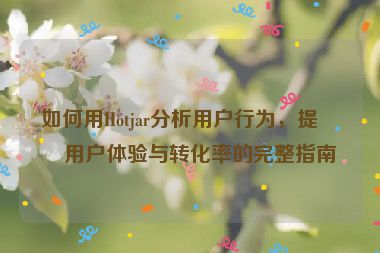 如何用Hotjar分析用戶行為，提升用戶體驗(yàn)與轉(zhuǎn)化率的完整指南