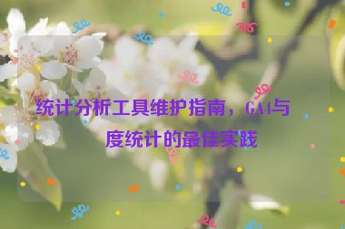 統(tǒng)計(jì)分析工具維護(hù)指南，GA4與百度統(tǒng)計(jì)的最佳實(shí)踐
