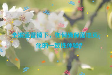 全渠道營銷下，如何確保落地頁轉化的一致性體驗？