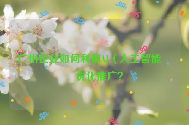 廣州企業(yè)如何利用AI（人工智能）優(yōu)化推廣？