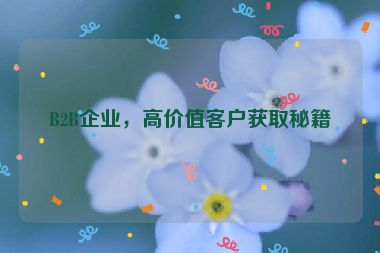 B2B企業(yè)，高價(jià)值客戶獲取秘籍