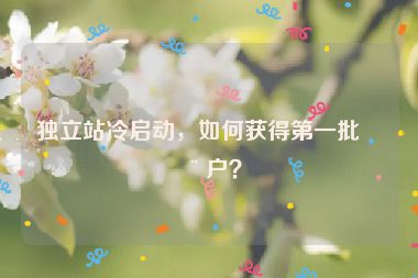 獨(dú)立站冷啟動(dòng)，如何獲得第一批用戶？