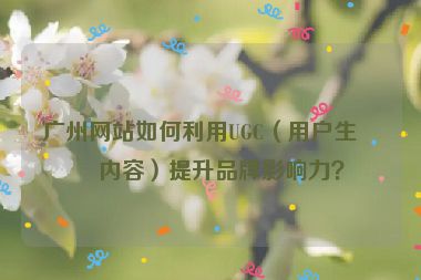 廣州網(wǎng)站如何利用UGC（用戶生成內(nèi)容）提升品牌影響力？