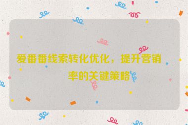 愛番番線索轉(zhuǎn)化優(yōu)化，提升營銷效率的關(guān)鍵策略