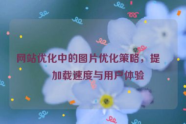 網(wǎng)站優(yōu)化中的圖片優(yōu)化策略，提升加載速度與用戶體驗(yàn)