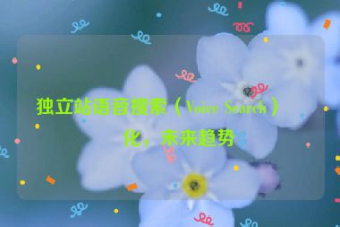 獨立站語音搜索（Voice Search）優(yōu)化，未來趨勢
