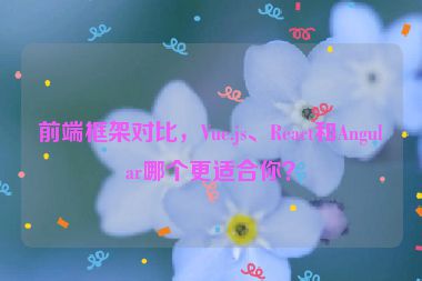前端框架對比，Vue.js、React和Angular哪個(gè)更適合你？