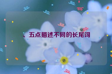 、五點描述不同的長尾詞