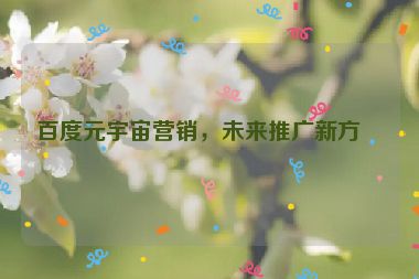 百度元宇宙營銷，未來推廣新方向