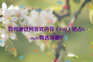 如何通過(guò)問(wèn)答式內(nèi)容（FAQ）搶占Google精選摘要？