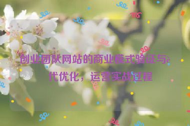 創(chuàng)業(yè)團隊網(wǎng)站的商業(yè)模式驗證與迭代優(yōu)化，運營實戰(zhàn)過程