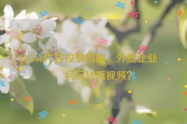 TikTok廣告投放指南，外貿企業(yè)如何玩轉短視頻？