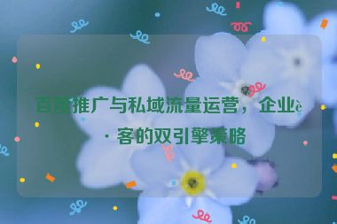 百度推廣與私域流量運(yùn)營，企業(yè)獲客的雙引擎策略