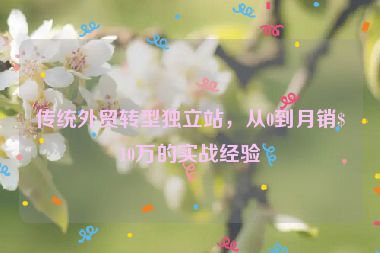 傳統(tǒng)外貿(mào)轉(zhuǎn)型獨立站，從0到月銷$10萬的實戰(zhàn)經(jīng)驗