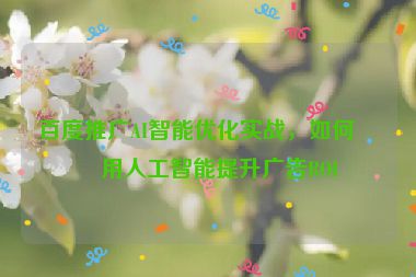 百度推廣AI智能優(yōu)化實(shí)戰(zhàn)，如何利用人工智能提升廣告ROI
