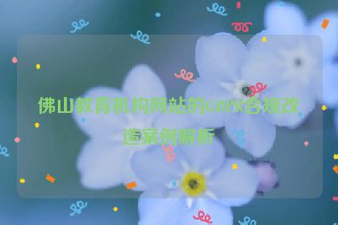 佛山教育機構(gòu)網(wǎng)站的GDPR合規(guī)改造案例解析