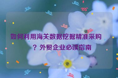 如何利用海關(guān)數(shù)據(jù)挖掘精準(zhǔn)采購(gòu)商？外貿(mào)企業(yè)必讀指南