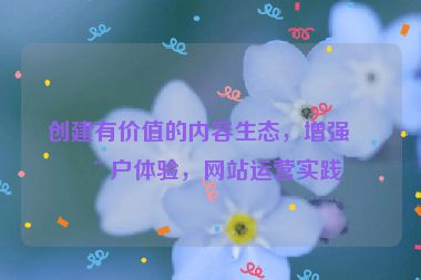 創(chuàng)建有價(jià)值的內(nèi)容生態(tài)，增強(qiáng)用戶體驗(yàn)，網(wǎng)站運(yùn)營實(shí)踐