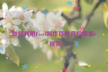 如何利用Excel制作百度競價數(shù)據(jù)透視表？