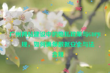 廣州網(wǎng)站建設(shè)中的隱私政策與GDPR合規(guī)，如何確保數(shù)據(jù)安全與法律合規(guī)