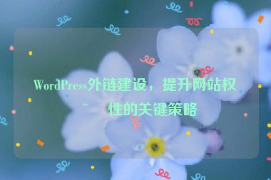 WordPress外鏈建設(shè)，提升網(wǎng)站權(quán)威性的關(guān)鍵策略