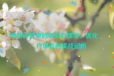 網(wǎng)站運(yùn)營(yíng)中的色彩心理學(xué)，優(yōu)化用戶體驗(yàn)的實(shí)戰(zhàn)運(yùn)用