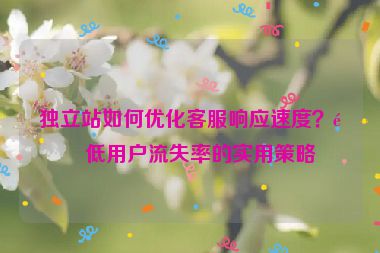 獨(dú)立站如何優(yōu)化客服響應(yīng)速度？降低用戶(hù)流失率的實(shí)用策略