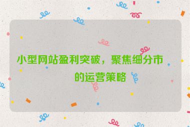小型網(wǎng)站盈利突破，聚焦細(xì)分市場的運(yùn)營策略
