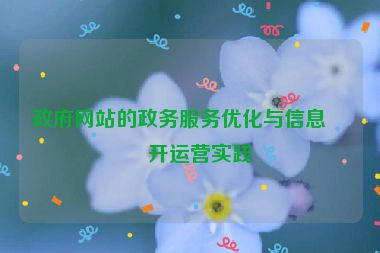政府網(wǎng)站的政務(wù)服務(wù)優(yōu)化與信息公開運(yùn)營實(shí)踐