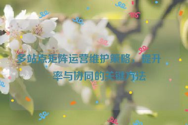 多站點(diǎn)矩陣運(yùn)營維護(hù)策略，提升效率與協(xié)同的關(guān)鍵方法