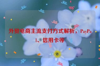 外貿(mào)電商主流支付方式解析，PayPal、信用卡等
