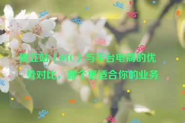 獨立站（DTC）與平臺電商的優(yōu)劣勢對比，哪個更適合你的業(yè)務？