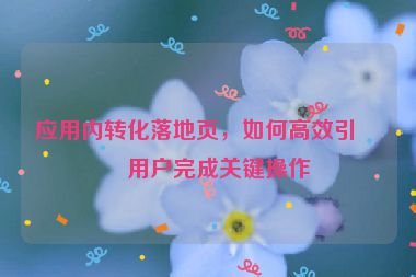 應(yīng)用內(nèi)轉(zhuǎn)化落地頁，如何高效引導(dǎo)用戶完成關(guān)鍵操作