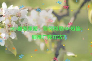 2024最新策略，如何利用SMS短信營銷推廣獨立站？