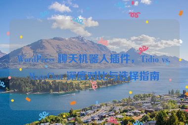 WordPress 聊天機器人插件，Tidio vs.ManyChat 深度對比與選擇指南