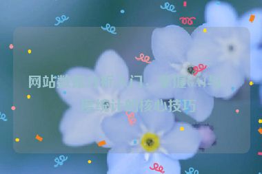 網(wǎng)站數(shù)據(jù)分析入門，掌握GA4與百度統(tǒng)計(jì)的核心技巧