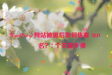 WordPress 網(wǎng)站被黑后如何恢復(fù) SEO 排名？7 個關(guān)鍵步驟