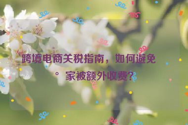 跨境電商關稅指南，如何避免買家被額外收費？